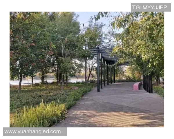 探索哥德杯足球公园平面图的设计理念与功能布局解析